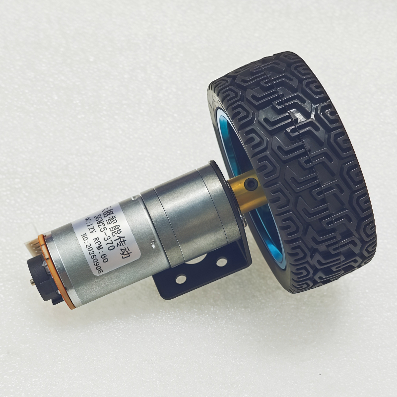 6V CW CCW Reversed Speed Contr - огляд і ціна Diy Electronics Motor